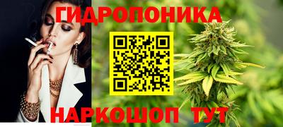 mdpv Заводоуковск