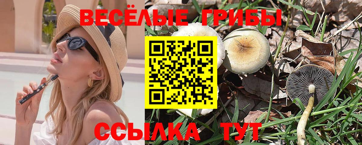 Псилоцибиновые грибы Psilocybe Миасс